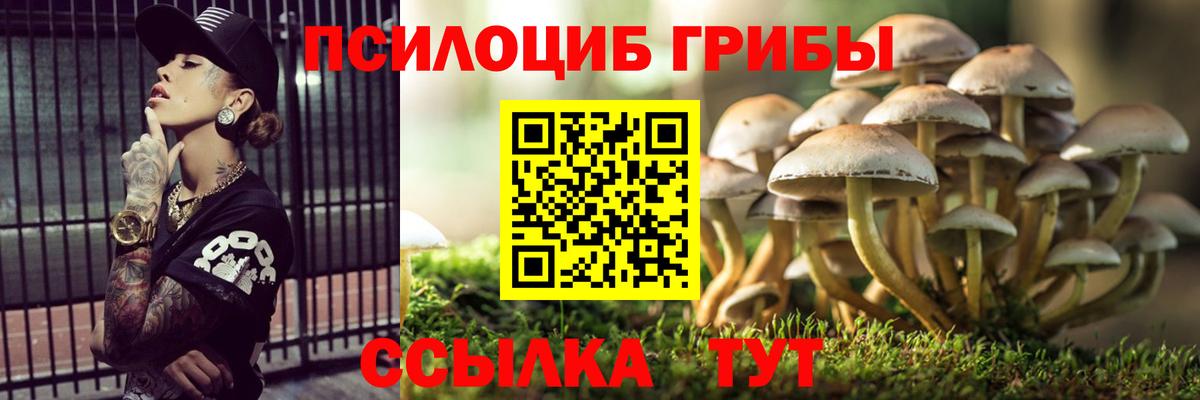 Галлюциногенные грибы прущие грибы  Вход с VPN  Омск 